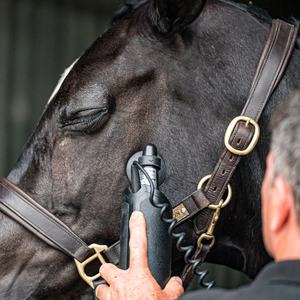 Equissage Hand Unit Targeted Equine CVT Massage Therapy