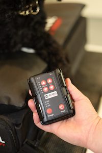 Pro Series Wireless Remote Control - Equissage New Zealand