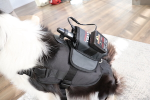 Accell Pro Series Harness - Small