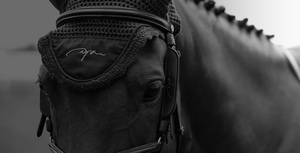 Products: Custom Pricing