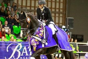 Exclusive Lesson on Grand Prix Dressage Horse & Stable Visit with Wendi Will&hellip;