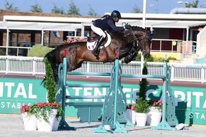 European Stallion Service & Breeding Package - Equus Auctions
