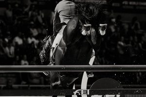 A3 Canvas Print by Cornege Photography - Equus Auctions