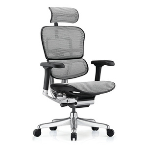 Ergohuman 2 Elite Office Chair: Ergohuman 2 Elite Mesh