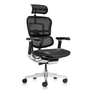 Ergohuman 2 Luxury Mesh