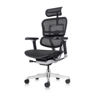 Ergohuman 2 Luxury Office Chair: Ergohuman 2 Luxury Leather Brown