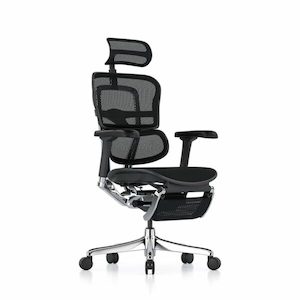 Ergohuman 2 Elite Office Chair: Ergohuman 2 Elite Mesh Green