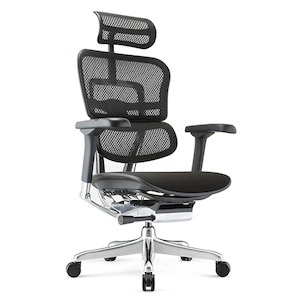 Ergohuman 2 Elite Office Chair: Ergohuman 2 Elite Mesh no Headrest