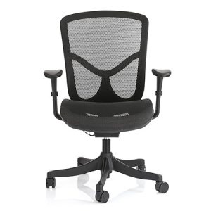 Ergohuman 2 Ultra Mesh no Headrest