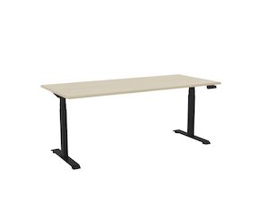 Workstations: STS 2 Sit to Stand Electric