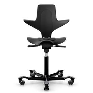 Designer Chairs: HÅG Capisco Puls 8010