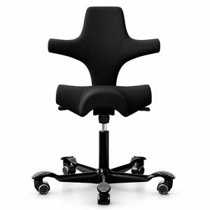 Designer Chairs: HÅG Capisco Chair 8106