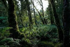 West Coast 2 - ER Imaging Photography