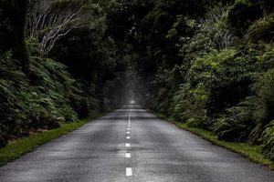 Products: West Coast 3 - ER Imaging Photography