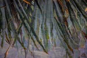 Products: West Coast 4 - ER Imaging Photography