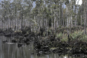 West Coast 6 - ER Imaging Photography