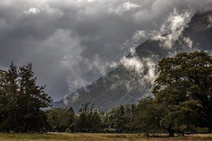 West Coast 7 - ER Imaging Photography