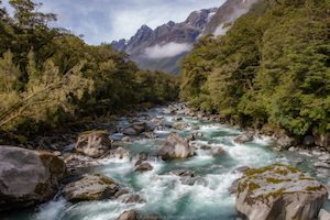 West Coast 8 - ER Imaging Photography