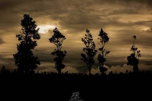 West Coast 10 - ER Imaging Photography