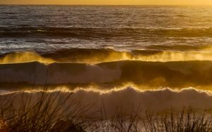 Beached 3 - ER Imaging Photography