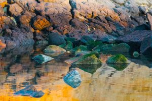 Beached 2 - ER Imaging Photography