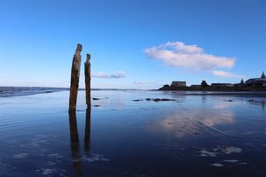 Beached 10 - ER Imaging Photography