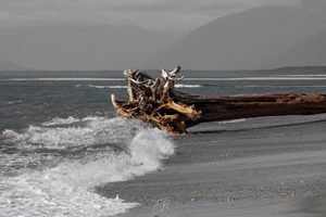 Products: Beached 12 - ER Imaging Photography