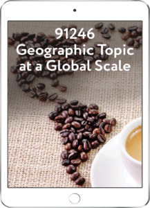 91246 Geographic Topic at a Global Scale
