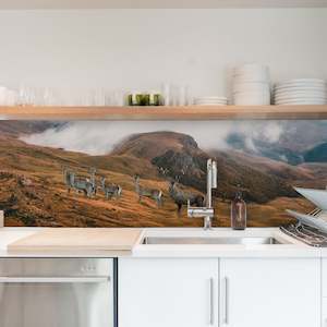 Splashback Digital Files: A Stag Collection - Image Only