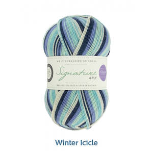Frontpage: WYS 4ply Winter Icicle