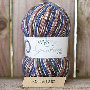 Wool: WYS Mallard - Country Birds
