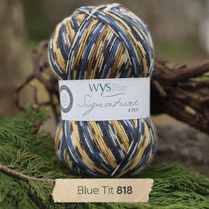 West Yorkshire Spinners Sock Yarn: WYS Blue Tit - Country Birds