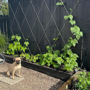 Surface Mounted Diamond Pattern Components Bundle (Wire Not Included)