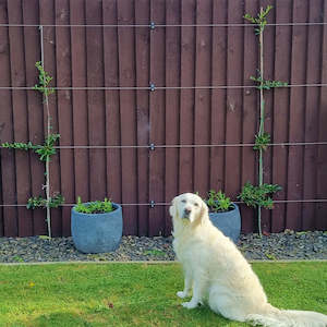 Surface Mounted Components Bundle (Wire Not Included)