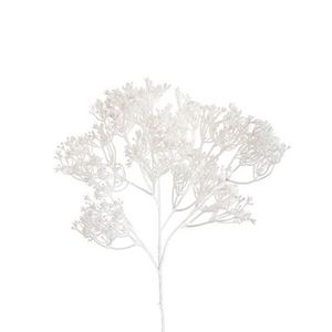 Products: Sea Lavender Spray - Cream