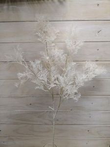 Products: White Rime Grass Spray