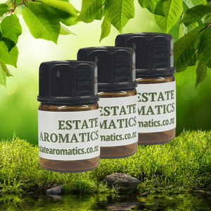 2ml Sample Trio (choose 3 different 2ml bottles)