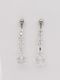 Crystal drop earring short EWGSEC164