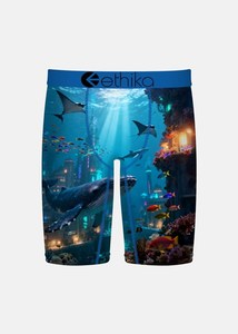 All Underwear: Boys Wadaworld Staple