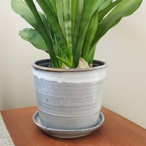 Products: Plant Pot Hand-thrown in NZ Etico