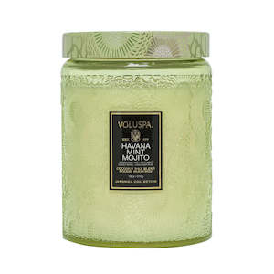 All Accessories: Voluspa Mojito 100hr Candle