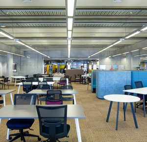 Products: Tidal Standing Desk + Aloha Active Chair Bundle Europlan