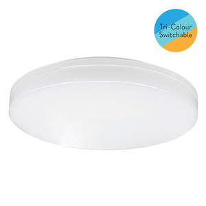 Ceiling Lights: YYR - 24W CCT Button