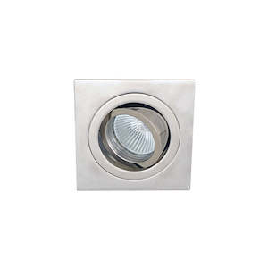 PT9843 - Stainless Steel Tilt Downlight