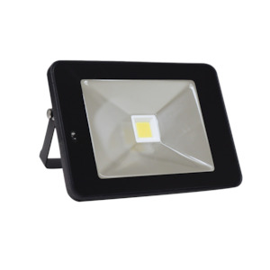 EconLED Domestic Microwave Sensor Floodlight - 30W