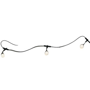 All: Festoon Light