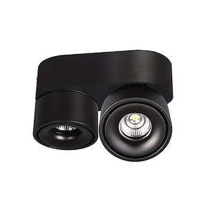 Home Office: Bijou - Double Swivel Downlight