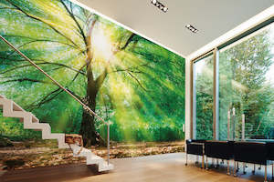 Design Walls - Forest Light