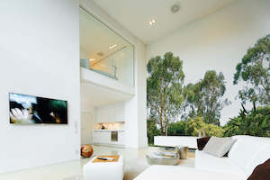 Design Walls: Design Walls - Treetop