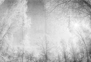 Override Tax For Pricecalculator App: Atelier 47 - Forest Glade